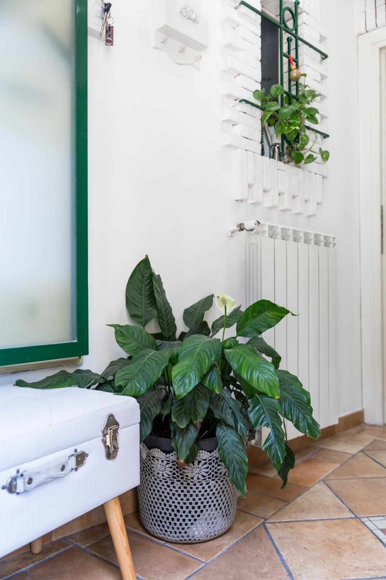 Flavia'S Home Napoli Bagian luar foto